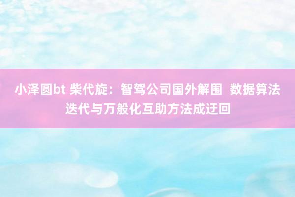 小泽圆bt 柴代旋：智驾公司国外解围  数据算法迭代与万般化互助方法成迂回