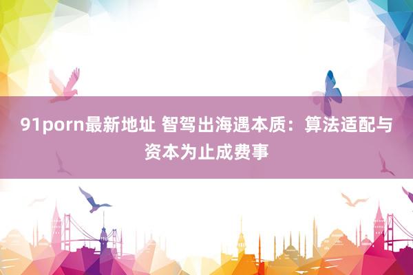 91porn最新地址 智驾出海遇本质：算法适配与资本为止成费事