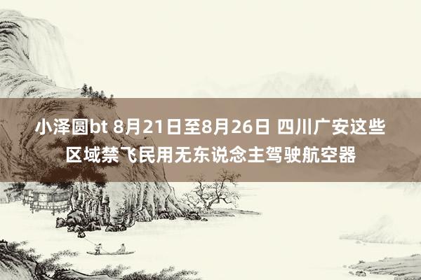 小泽圆bt 8月21日至8月26日 四川广安这些区域禁飞民用无东说念主驾驶航空器