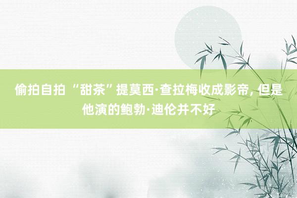 偷拍自拍 “甜茶”提莫西·查拉梅收成影帝， 但是他演的鲍勃·迪伦并不好