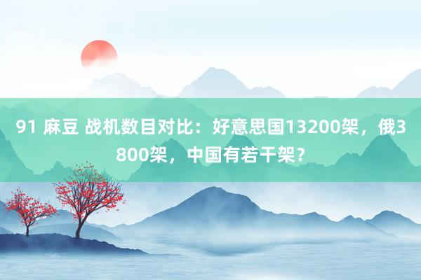 91 麻豆 战机数目对比：好意思国13200架，俄3800架，中国有若干架？