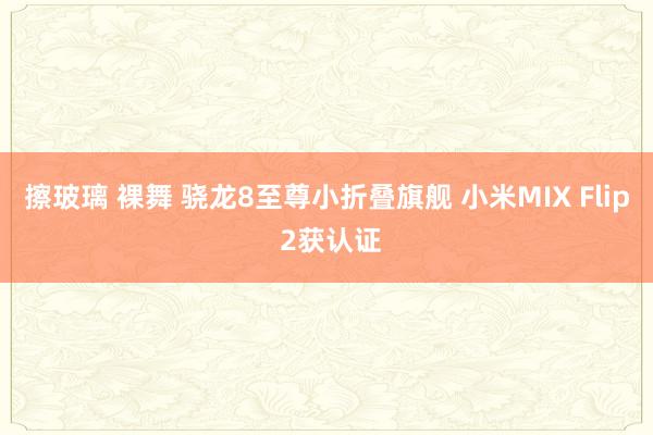擦玻璃 裸舞 骁龙8至尊小折叠旗舰 小米MIX Flip 2获认证
