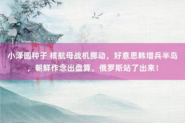 小泽圆种子 核航母战机挪动，好意思韩增兵半岛，朝鲜作念出盘算，俄罗斯站了出来！