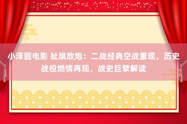 小泽圆电影 扯旗放炮：二战经典空战重现，历史战役燃情再现，战史巨擘解读