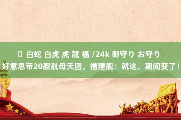 ✨白蛇 白虎 虎 龍 福 /24k 御守り お守り 好意思帝20艘航母天团，福建舰：就这，期间变了！