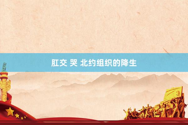 肛交 哭 北约组织的降生