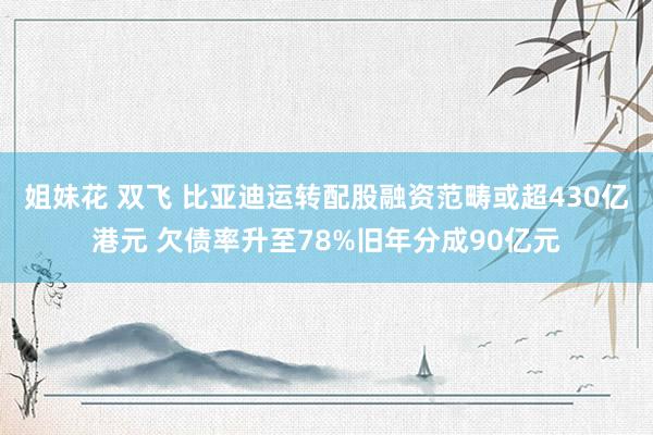 姐妹花 双飞 比亚迪运转配股融资范畴或超430亿港元 欠债率升至78%旧年分成90亿元