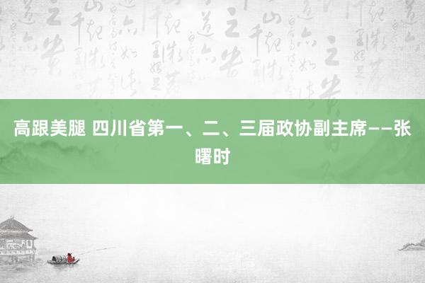 高跟美腿 四川省第一、二、三届政协副主席——张曙时