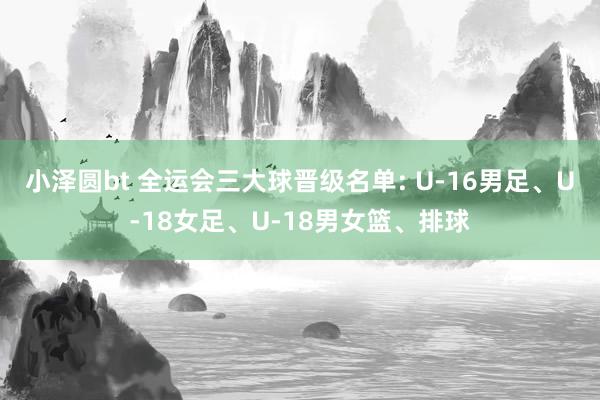 小泽圆bt 全运会三大球晋级名单: U-16男足、U-18女足、U-18男女篮、排球