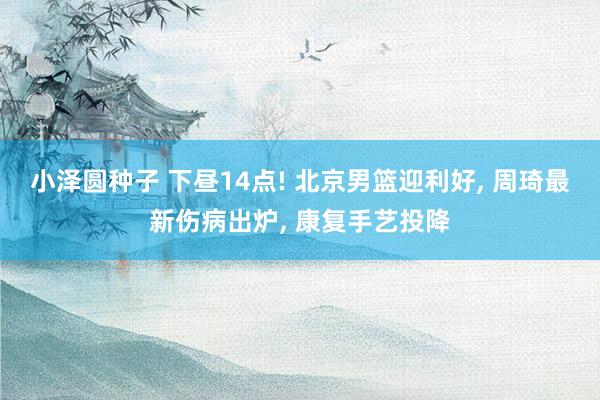 小泽圆种子 下昼14点! 北京男篮迎利好， 周琦最新伤病出炉， 康复手艺投降