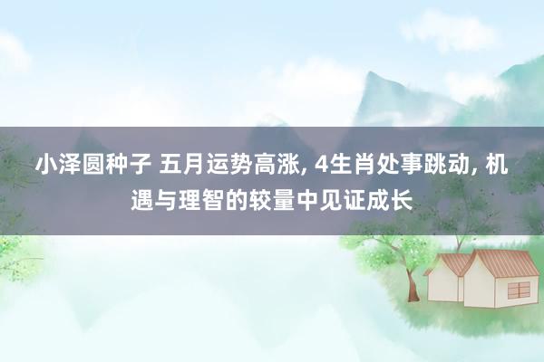 小泽圆种子 五月运势高涨， 4生肖处事跳动， 机遇与理智的较量中见证成长
