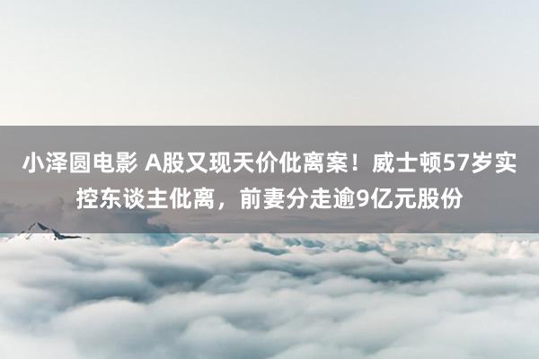 小泽圆电影 A股又现天价仳离案！威士顿57岁实控东谈主仳离，前妻分走逾9亿元股份