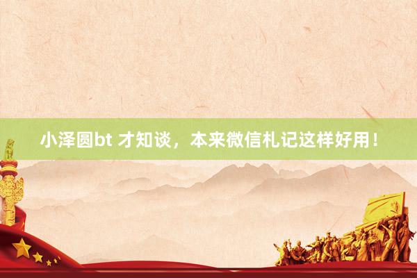 小泽圆bt 才知谈，本来微信札记这样好用！