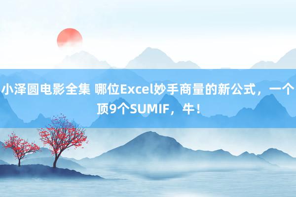 小泽圆电影全集 哪位Excel妙手商量的新公式，一个顶9个SUMIF，牛！