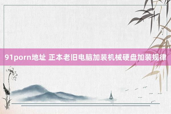 91porn地址 正本老旧电脑加装机械硬盘加装规律