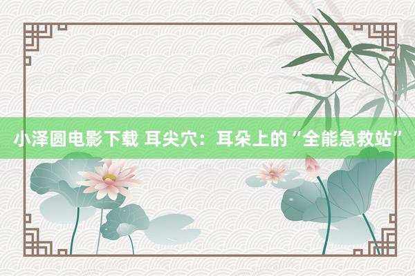 小泽圆电影下载 耳尖穴:耳朵上的“全能急救站”