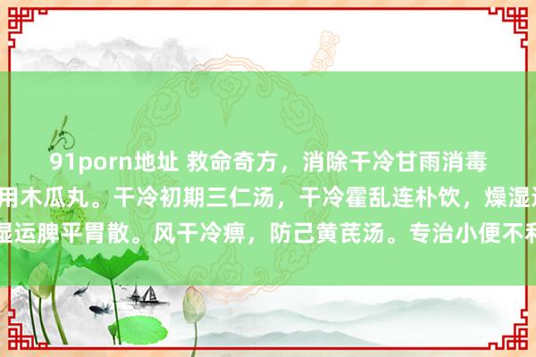 91porn地址 救命奇方，消除干冷甘雨消毒丹，调整风湿痹痛最管用木瓜丸。干冷初期三仁汤，干冷霍乱连朴饮，燥湿运脾平胃散。风干冷痹，防己黄芪汤。专治小便不利五苓散。大别山养生堂