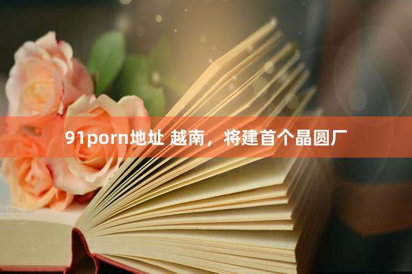 91porn地址 越南，将建首个晶圆厂