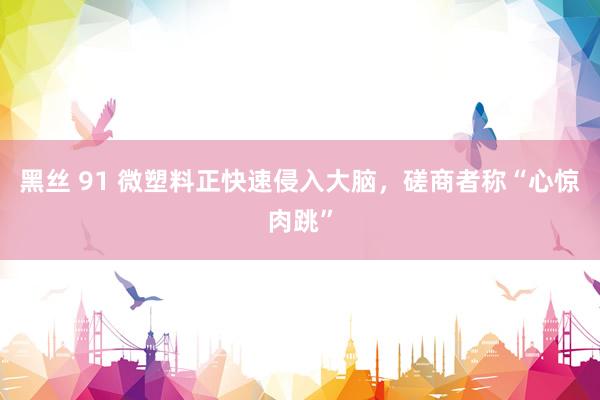 黑丝 91 微塑料正快速侵入大脑，磋商者称“心惊肉跳”