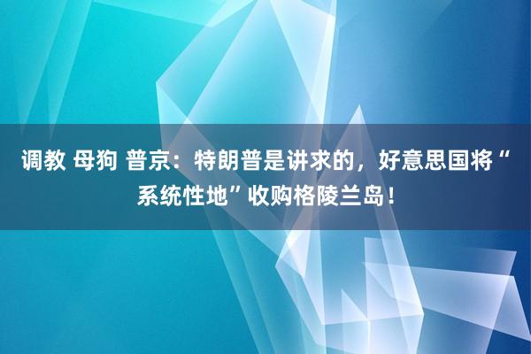 调教 母狗 普京：特朗普是讲求的，好意思国将“系统性地”收购格陵兰岛！